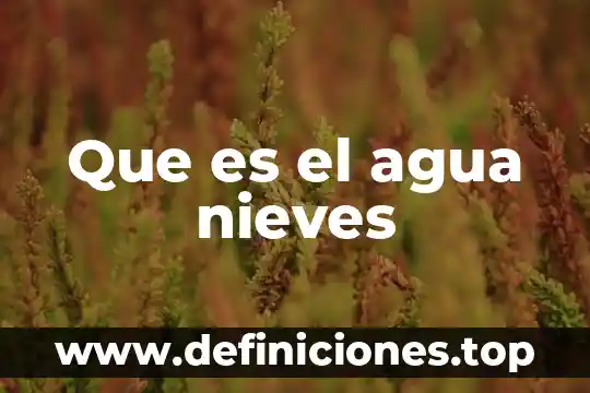 Que es el agua nieves