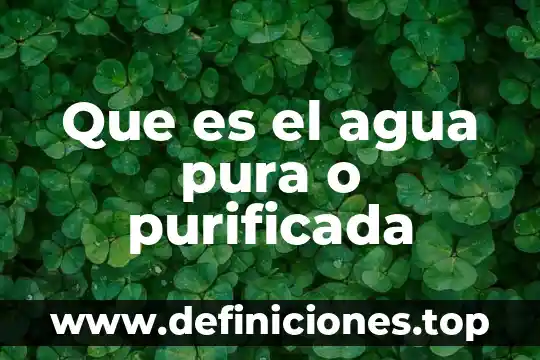 Qué es correcto pila de agua o tanque de agua 7 Que es el agua pura o purificada