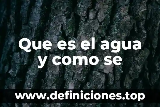 Que es el agua y como se