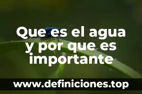 Que es el agua y por que es importante