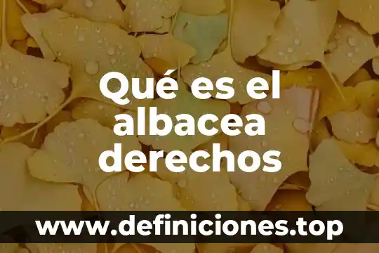 Que es la comisoon nacuo al de los derechos huanos 3 Qué es el albacea derechos