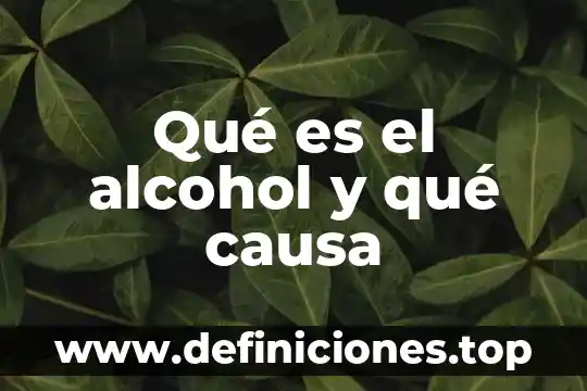 Que es la droga y que daños causa 3 Qué es el alcohol y qué causa