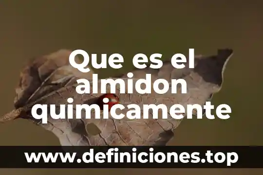Que es el almidon quimicamente