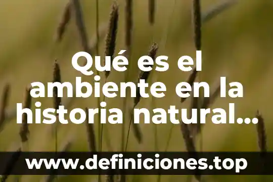 Que es el pan al vapor historia 5 Qué es el ambiente en la historia natural de la enfermedad