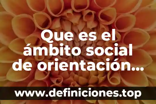 Que es el ámbito social de orientación educativo