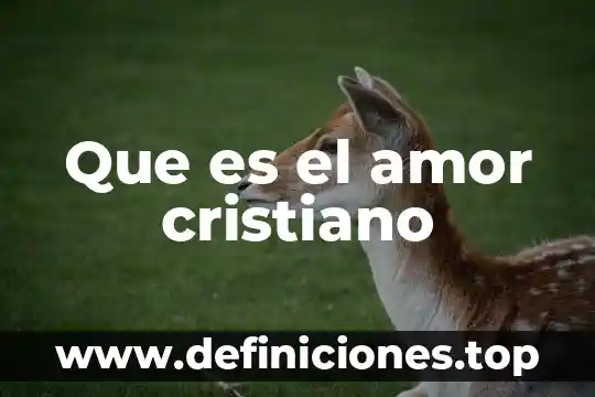 Que es el amor cristiano