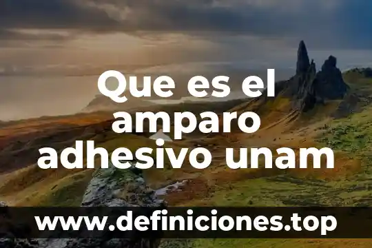 Qué es el amparo administrativo en México 4 Que es el amparo adhesivo unam