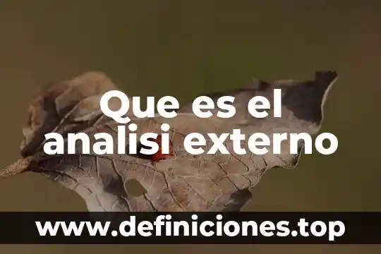 Que es desarrollo del tema ejemplo 3 Que es el analisi externo