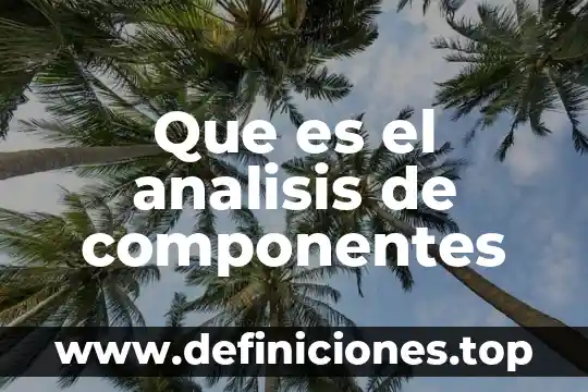 Que es el analisis de componentes