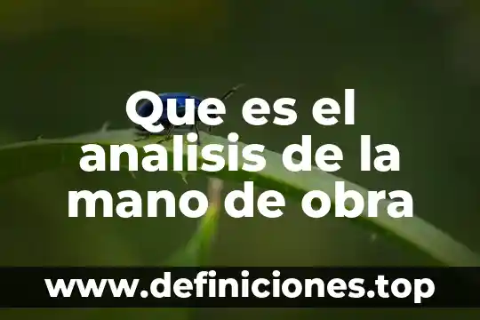 Que es productividad por especializacion 5 Que es el analisis de la mano de obra