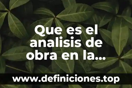 Que es el analisis de obra en la produccion