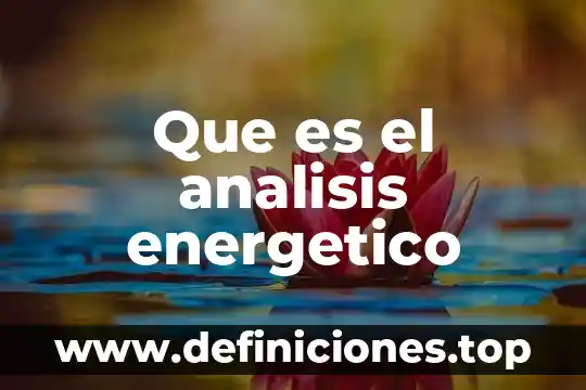 Que es el analisis bh ega 7 Que es el analisis energetico