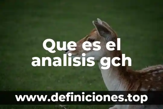 Que es el analisis gch