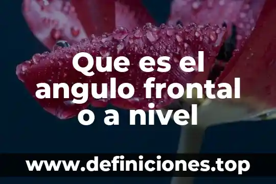 Que es el angulo frontal o a nivel