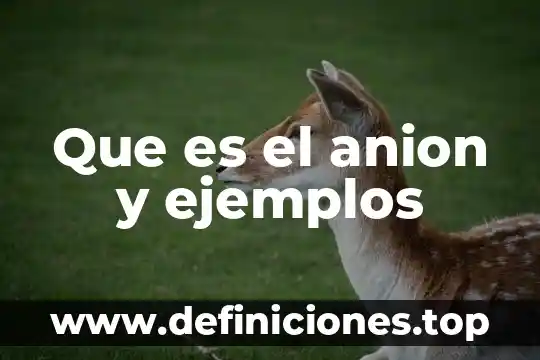 Que es una milla ejemplos 7 Que es el anion y ejemplos