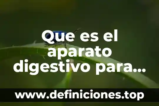 Qué es la vida útil de un aparato electrónico 4 Que es el aparato digestivo para niños