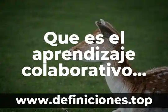 Qué es el trabajo colaborativo dentro de la danza 8 Que es el aprendizaje colaborativo segun autores
