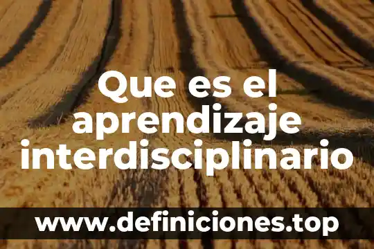 Qué es el enfoque interdisciplinario de las ciencias sociales 7 Que es el aprendizaje interdisciplinario