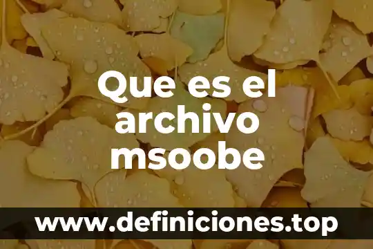 Que es un archivo permanente 6 Que es el archivo msoobe