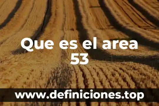 Que es el area 53