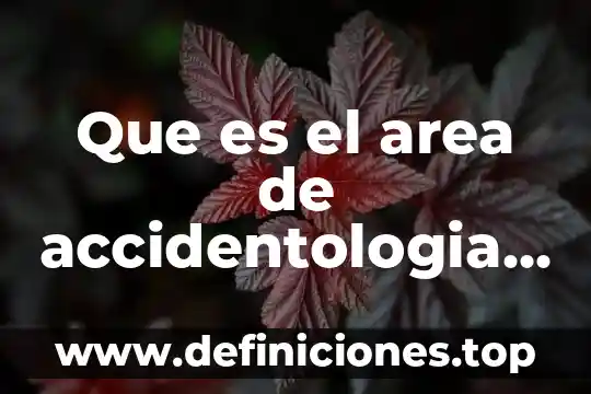 Que es seguridad vial en colombia 4 Que es el area de accidentologia vial