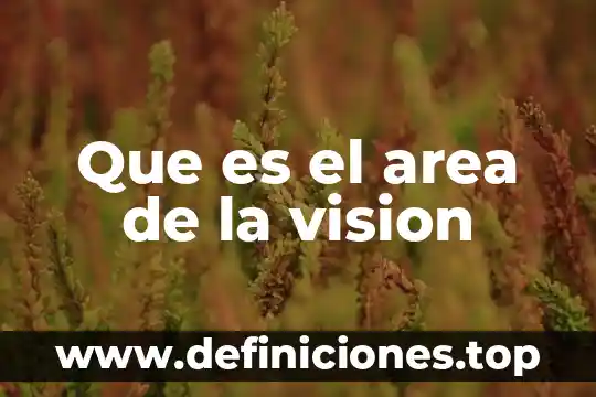 Que es el area de la vision