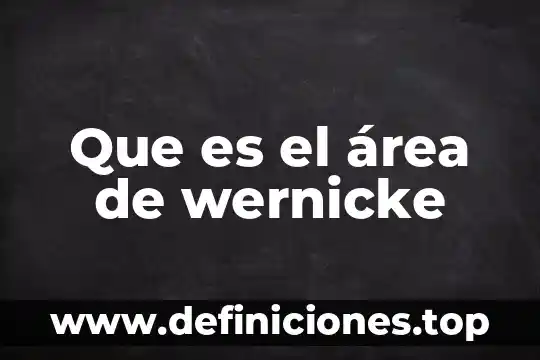 Que es el area del derecho 7 Que es el área de wernicke