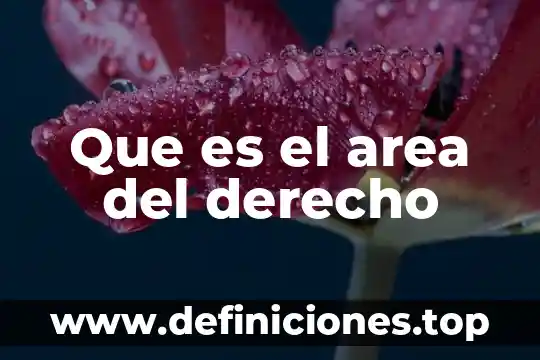 Qué es la area de un polígono 3 Que es el area del derecho