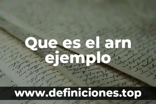 Que es el a-r-n en informativa 5 Que es el arn ejemplo