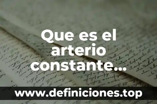 Qué es una constante absoluta y numérica 5 Que es el arterio constante logica