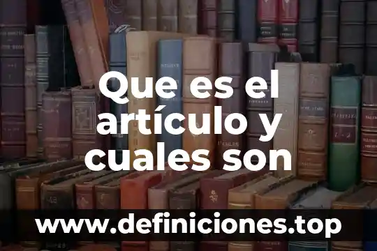 Que es el artículo y cuales son