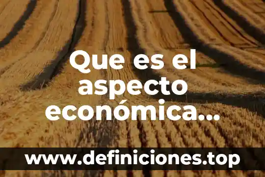 Que es el aspecto económica ventajas y desventajas