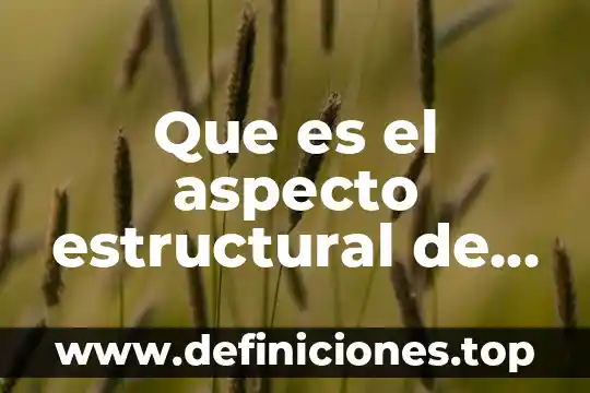 Que es el aspecto estructural de una fotografia