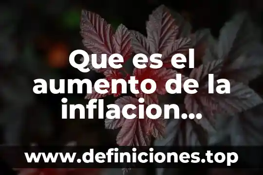 Competencia economica que es 5 Que es el aumento de la inflacion economica