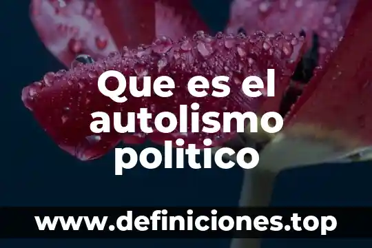 Que es el autolismo politico