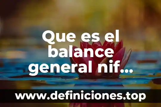 Que es un balance químico 7 Que es el balance general nif 2017
