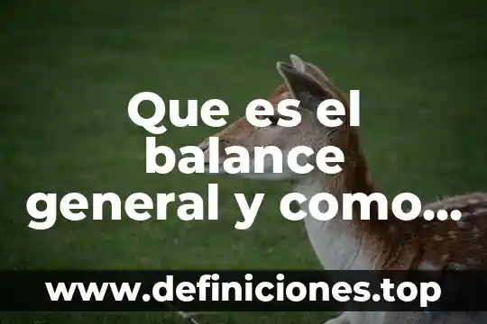 Que es un balance químico 6 Que es el balance general y como se presenta