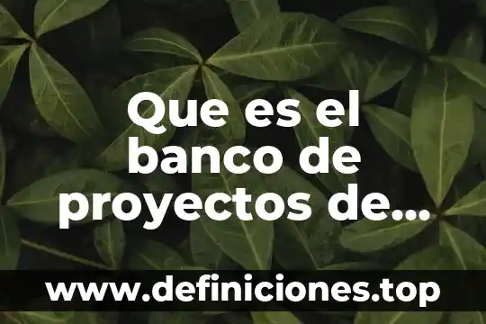 Que es el banco de proyectos de inversion