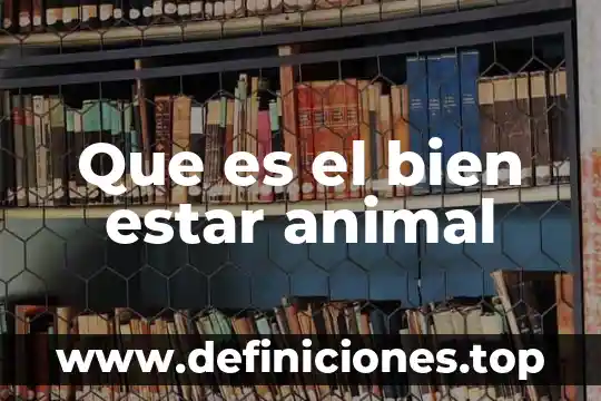 Que es el bien estar animal