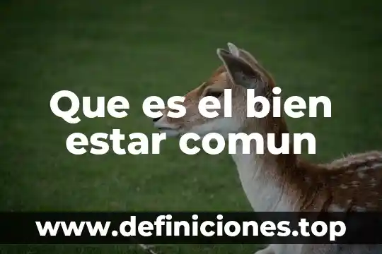 Que es el bien estar comun