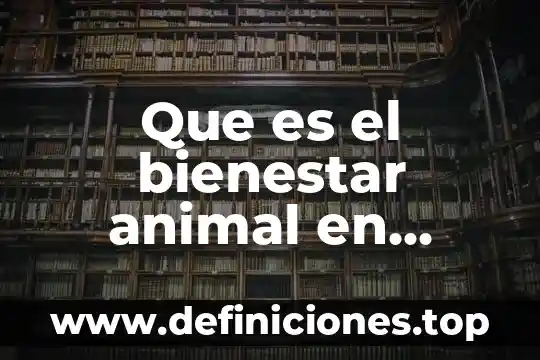 Que es el bienestar animal en caballos