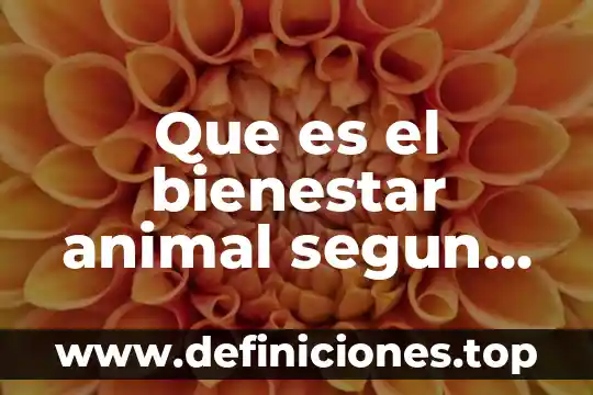 Que es el bienestar animal segun la oie
