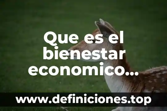 Que es el museo de culturas populares 6 Que es el bienestar economico museo de economia