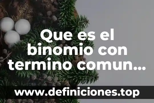 Binomio conjugados que es y ejemplos 6 Que es el binomio con termino comun y sus caracteristicas
