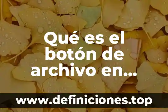 Qué es botón dorado México tiene talento 2019 6 Qué es el botón de archivo en Word