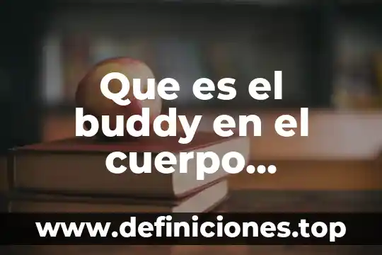Que es el factor humano en una empresa 4 Que es el buddy en el cuerpo humano