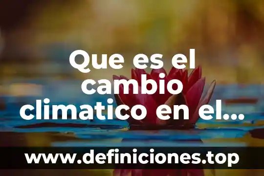Que es siglo de programacion 4 Que es el cambio climatico en el siglo xxi