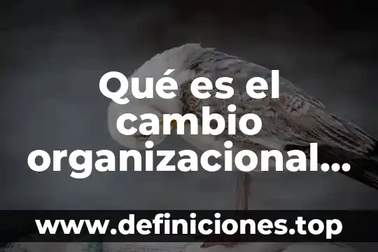 Que es mercadeo directo de la coca cola 6 Qué es el cambio organizacional de coca cola