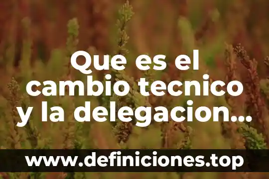 Que es el cambio tecnico y la delegacion de funciones