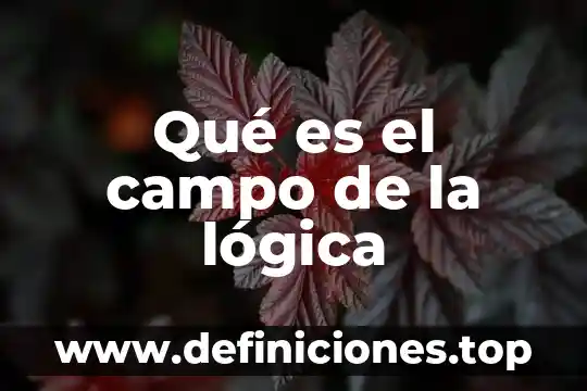 Que es alegría en logica 5 Qué es el campo de la lógica